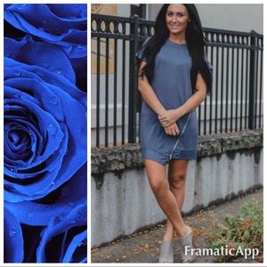 NWT Favlux Everything Nice Dress L Vintage Blue